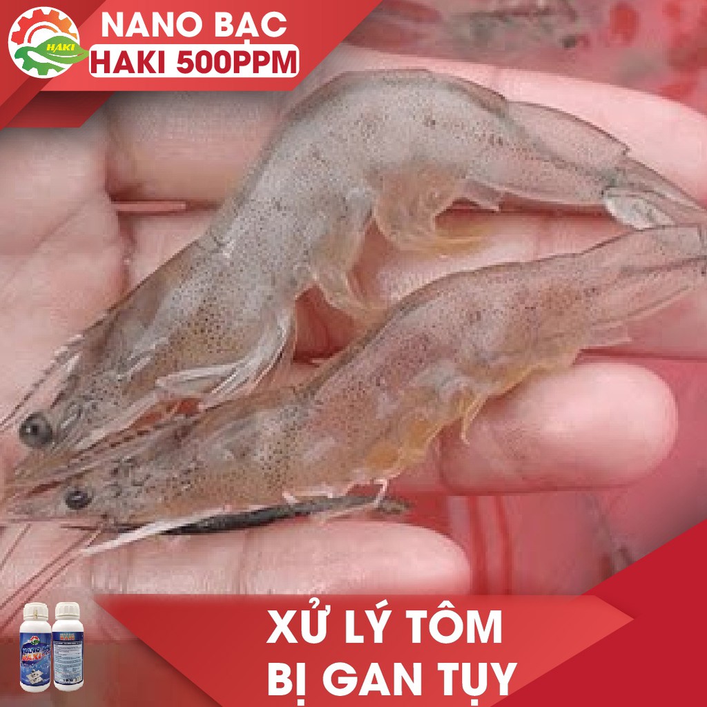 Nano bạc Haki diệt nấm khuẩn ao nuôi, khử mùi hôi tanh, làm trong nước và phòng trị bệnh trong thủy sản chai 500ml