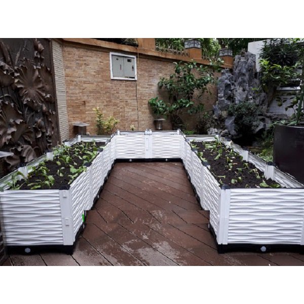 Chậu trồng rau  lắp ghép loại 2 ngăn  thông minh 100x50x23