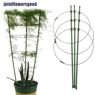 Khung hỗ trợ trồng cây dây leo 45cm