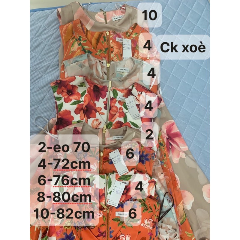 Đầm dư xịn-hoa xoè