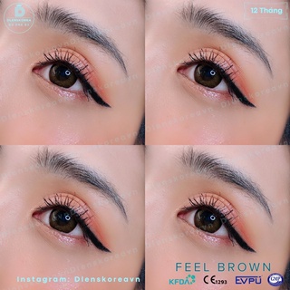 [HCM] Lens Brown 0 Độ