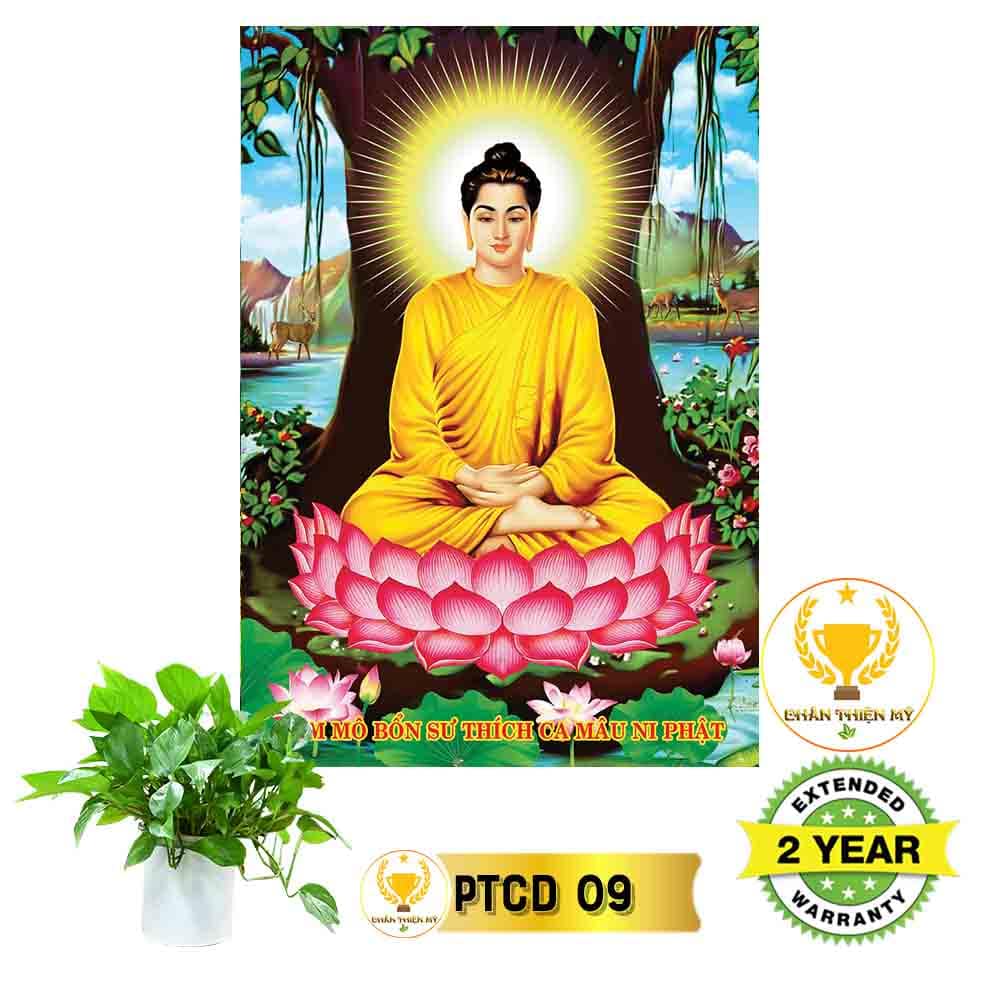 Tranh Phật Thích Ca có khung_PTCK2