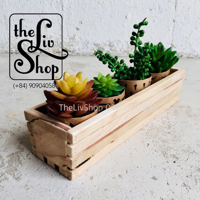 Chậu gỗ trồng cây (30cm)