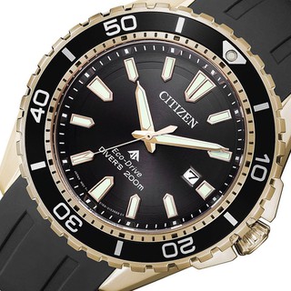 Đồng hồ nam Citizen BN0193-17E