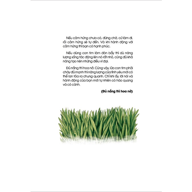 Sách - Đủ Nắng Thì Hoa Nở (Ba Gàn - Phương Nam)