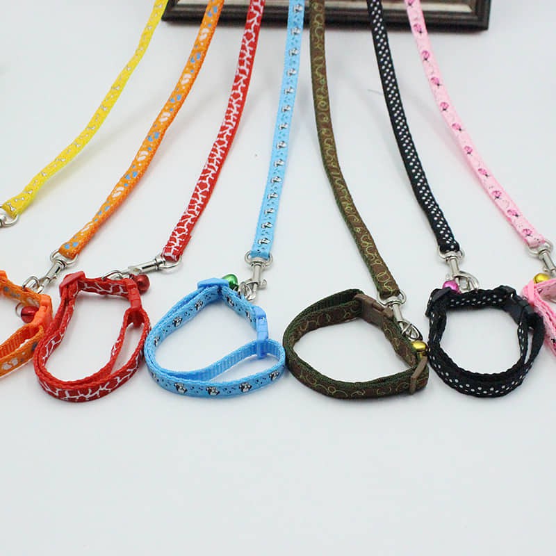 Combo Dây Dắt và Vòng Cổ Vải Dù Nhiều Màu Cho Chó Mèo Dưới 4Kg