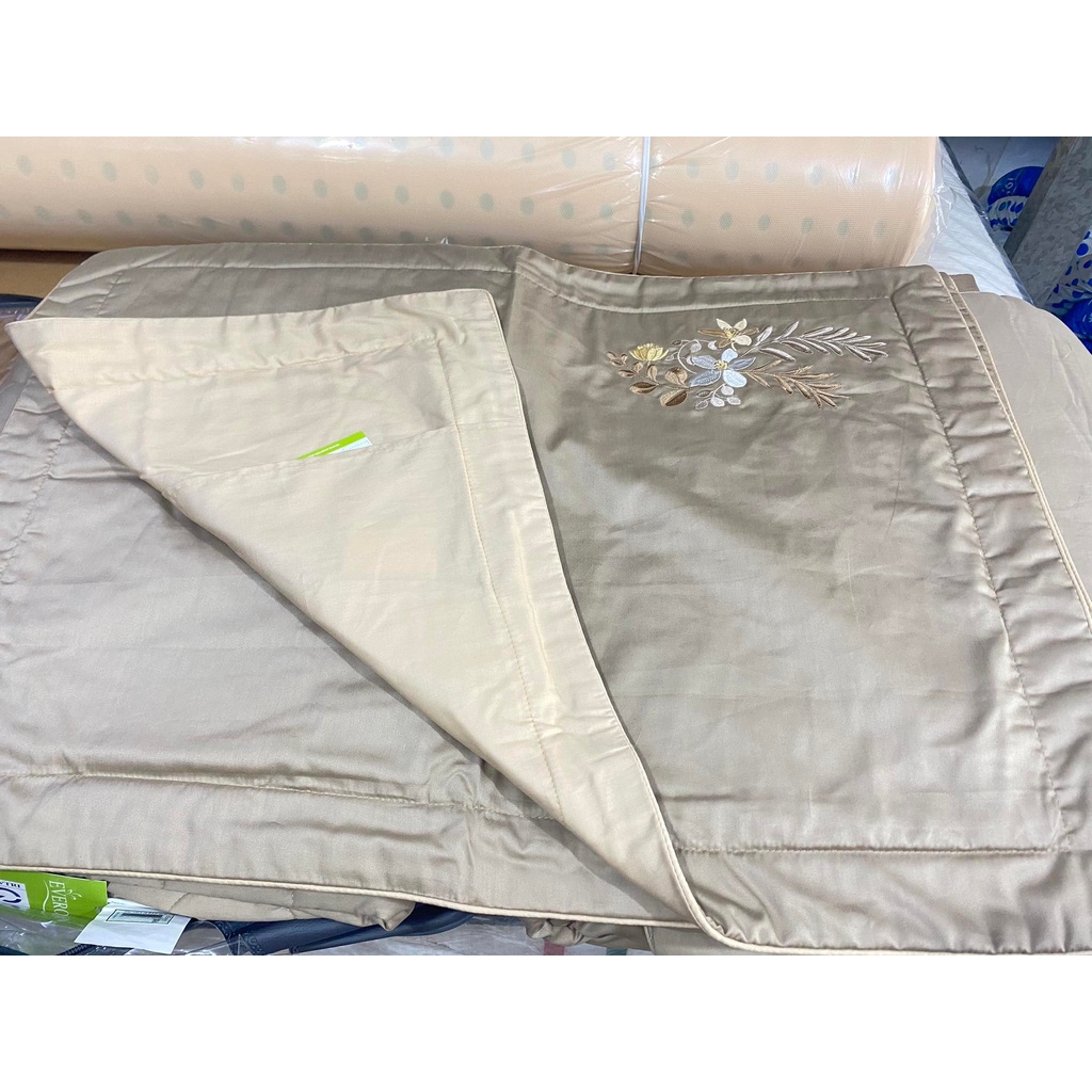 Bộ Drap chun chần EVERON MDSC075