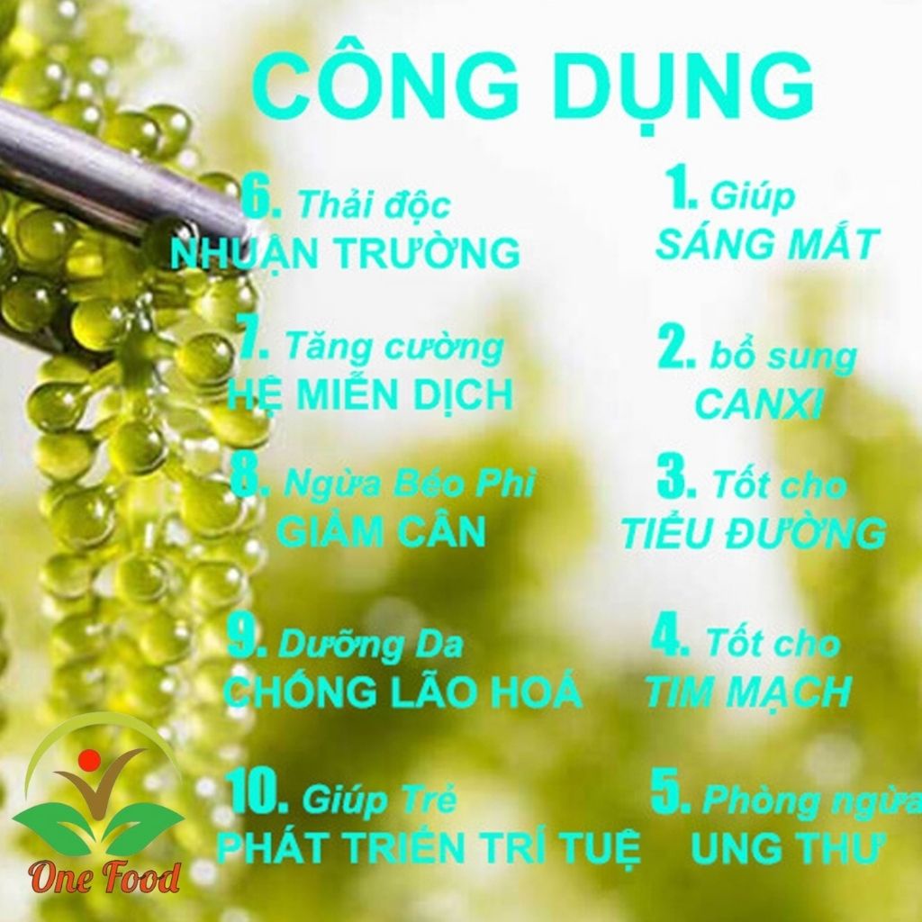 Rong Nho Tươi Tách Nước Khánh Hòa, RONG BIỂN ĂN LIỀN Kèm Sốt Cao Cấp Giàu Dinh Dưỡng, OneFood68