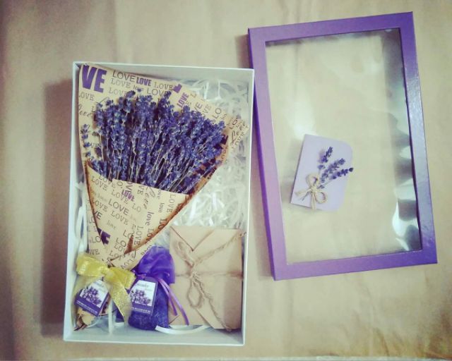 Bó hoa Lavender ( oải hương) 200 CÀNH
