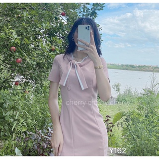 váy công sở cổ nơ Y162