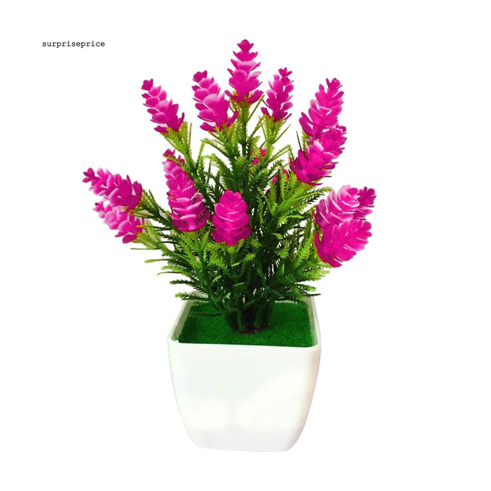 Chậu cây thông nhân tạo dành cho trang trí tiểu cảnh