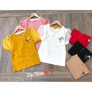 Áo thun cổ tim tay bồng pha ren ( Hot trend)