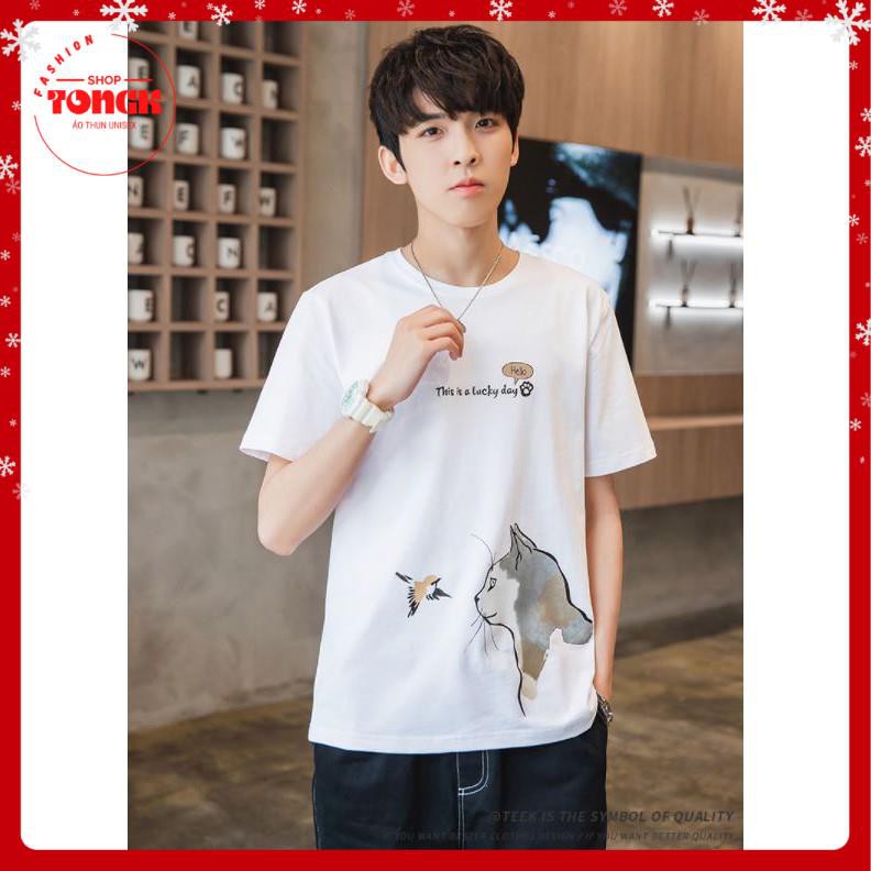 Áo thun tay lỡ Unisex MÈO CUTE Ones Sze chuẩn  ATL157