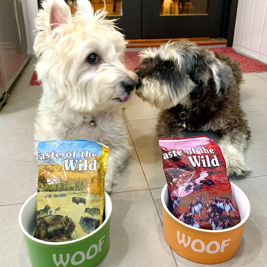 Thức Ăn Cho Chó Taste Of The Wild  - Hỗ Trợ Mượt Lông, Cơ Khớp, Hệ Tiêu Hoá, Hệ Miễn Dịch Khoẻ Mạnh