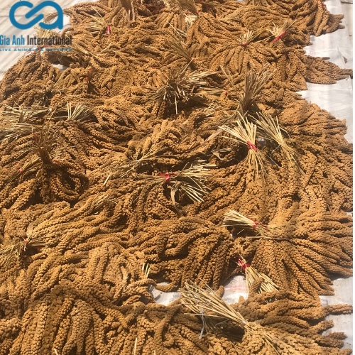 Hạt kê chùm dành cho chim cảnh, vẹt, yến phụng, hamster - Cung cấp dinh dưỡng cho thú cưng - Túi 1kg