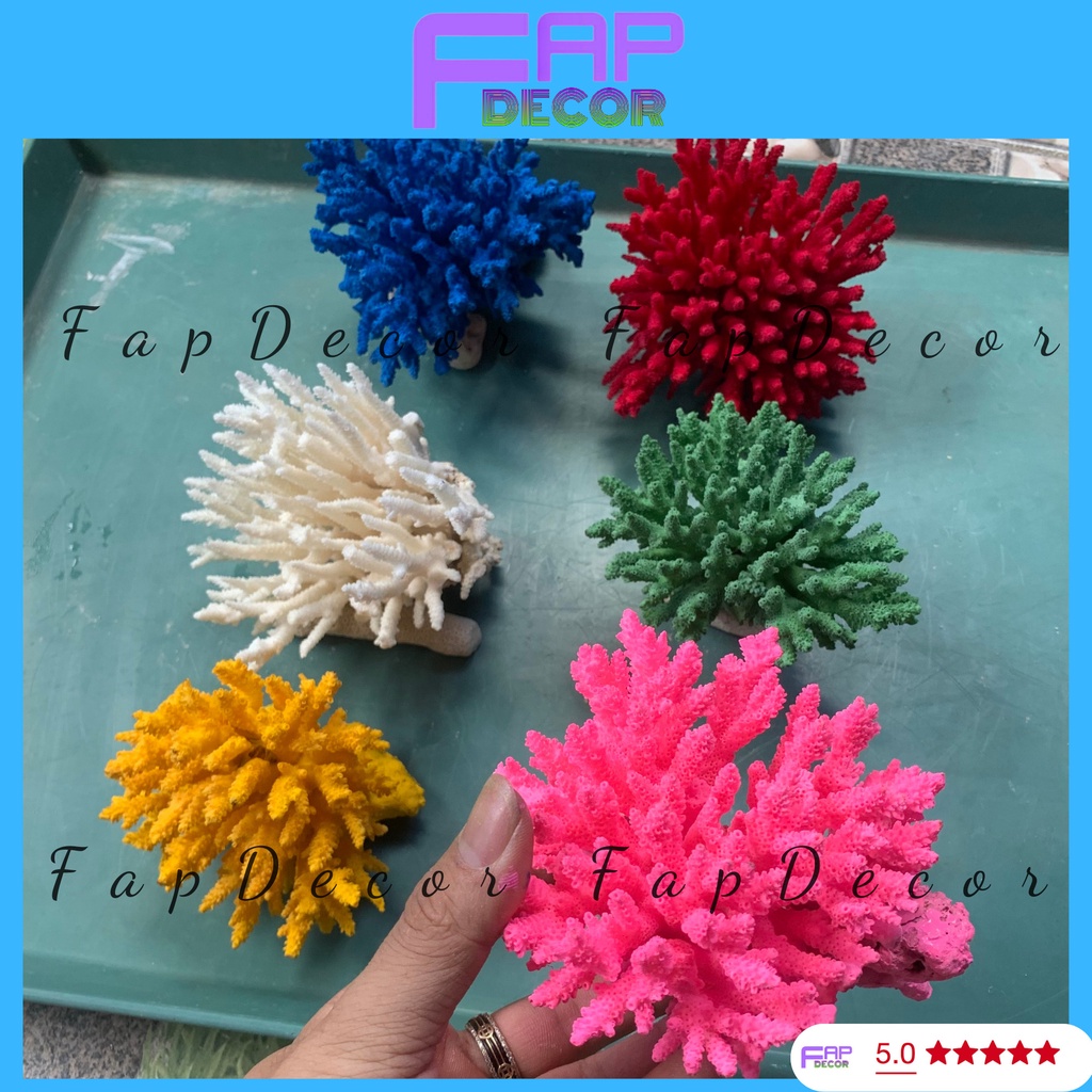 SAN HÔ BÔNG RẠN PHONG THỦY  BIỂN THIÊN NHIÊN PHỐI NHIỀU MÀU TRANG TRÍ THỦY SINH SET UP BỂ CÁ -  FAPDECOR