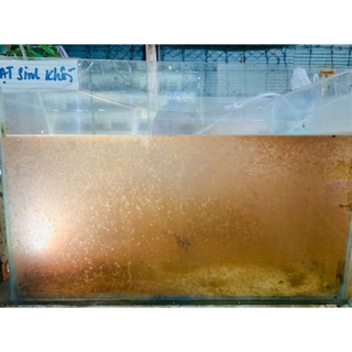 Thức ăn nuôi artemia sinh khối cao cấp ( 100gram) //