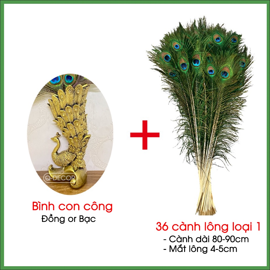 Bình cắm lông công Q Decor BC01 và 36 lông công mắt to 4-6cm