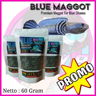 Maggot Xanh 60 Grams Nguyên Bản Gfs