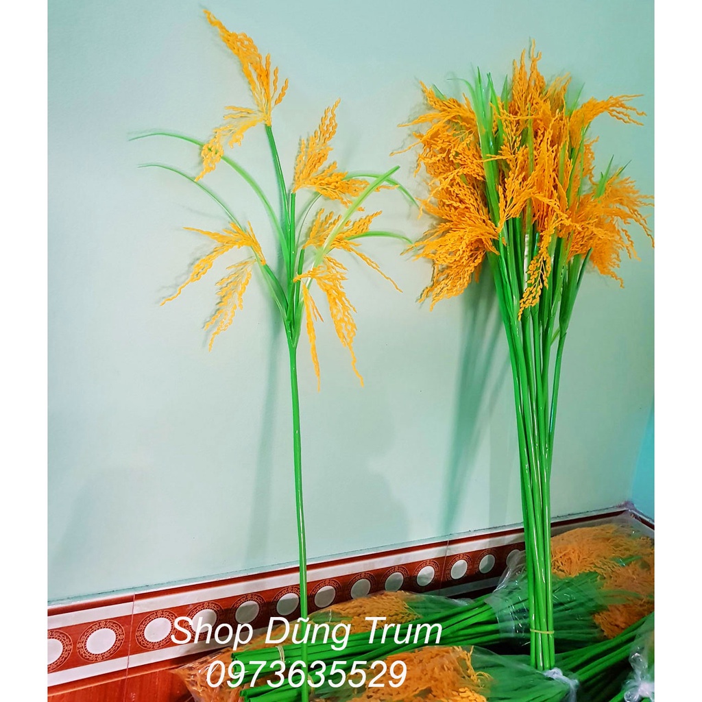 Cây lúa biểu diễn văn nghệ (150k / 1 bó 10 cây)