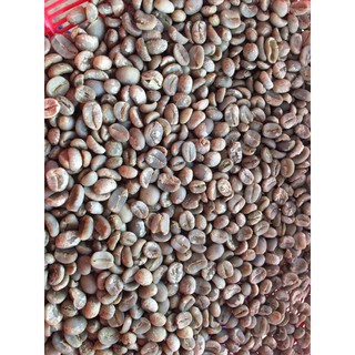 Cà phê Arabica Sơn La rang medium