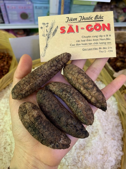 Trái Chuối Rừng 1kg