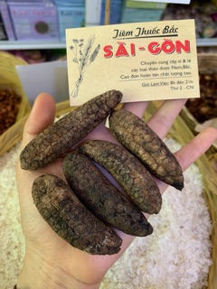 Trái Chuối Rừng 500g