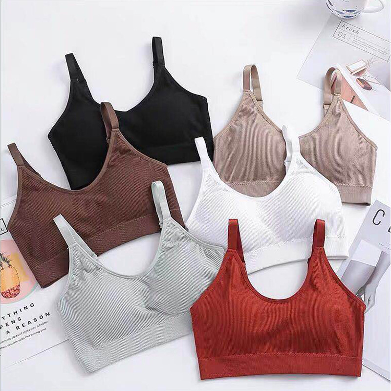 Áo Ngực Thể Thao Không Gọng Không Đường May Chống Sốc Có Đệm Nâng Ngực 40-67KG