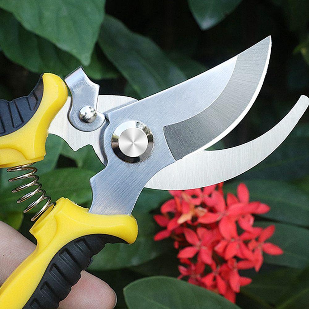 TAYLOR1 Kéo Cắt Tỉa Cành Làm Vườn Tiết Kiệm Sức Lao Động Tiện Dụng
