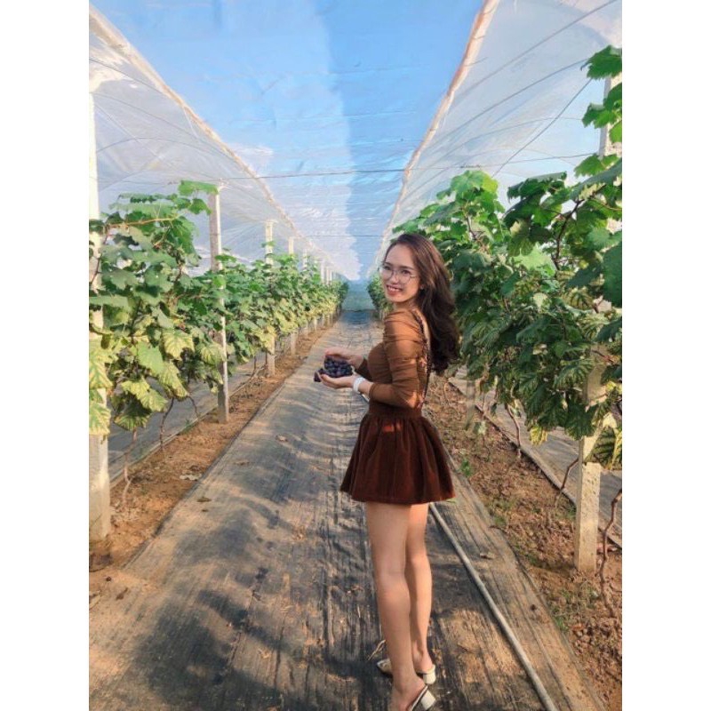 Chân Váy Nhung Loại 1 Kèm Tag Nel