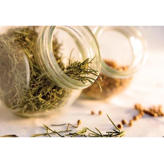 Lá hương thảo Rosemary