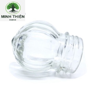 (SIÊU RẺ) Bình Ngâm Rươu Sâm Thủy Tinh Phú Hoà
