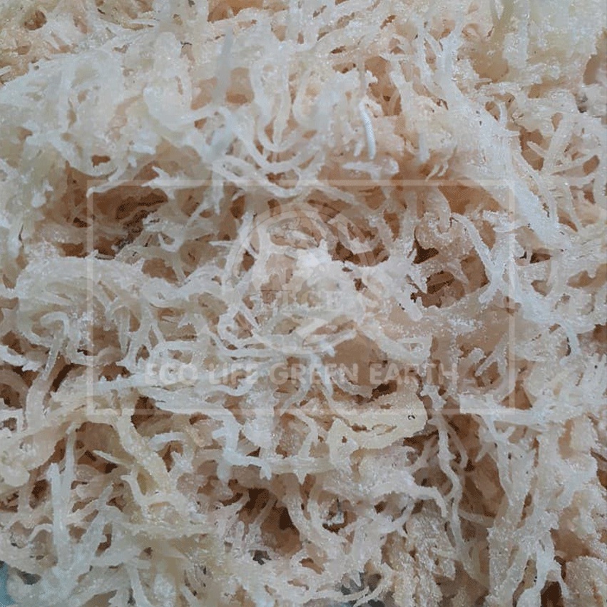 Rong sụn biển thiên nhiên Nha Trang trắng khô ☘Gói 100 gr, 200 gr, 500 gr