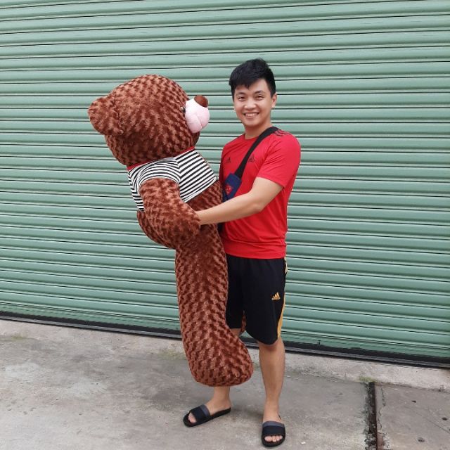 GẤU TEDDY NHỒI BÔNG SIÊU KHỦNG 155CM NẶNG 5500G