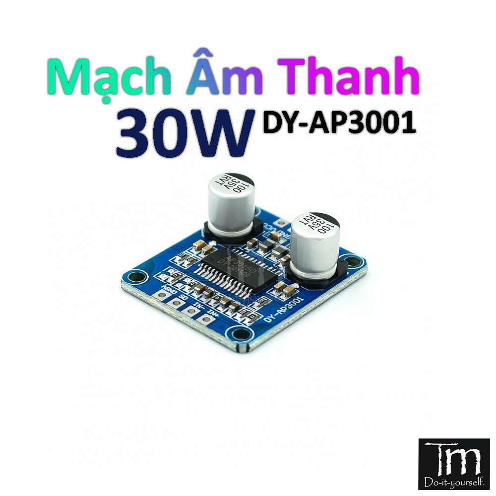 Mạch Khuếch Đại Âm Thanh Mono Class D 12V 24V 30W (DY-AP3001)