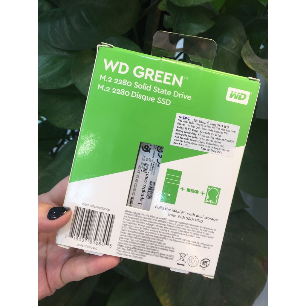 Ổ CỨNG SSD 240GB M.2 2280 SATA III – WD Green | BigBuy360 - bigbuy360.vn