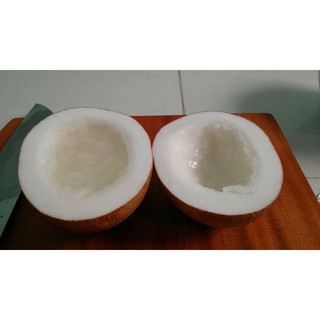 Dừa Sáp- Đặc sản Cầu Kè Trà Vinh
