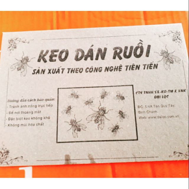 COMBO 10 MIẾNG Keo dán ruồi ĐẠI LỘC