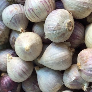 combo 1,5 Kg Tỏi Cô Đơn Phan Rang Làm Tỏi Đen