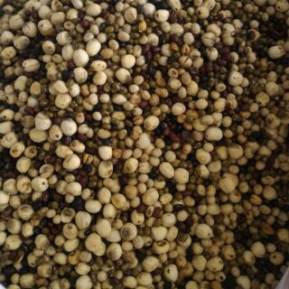 Bột Thất Cốc Song Nghi 1kg đậu đã ngâm nẩy mầm