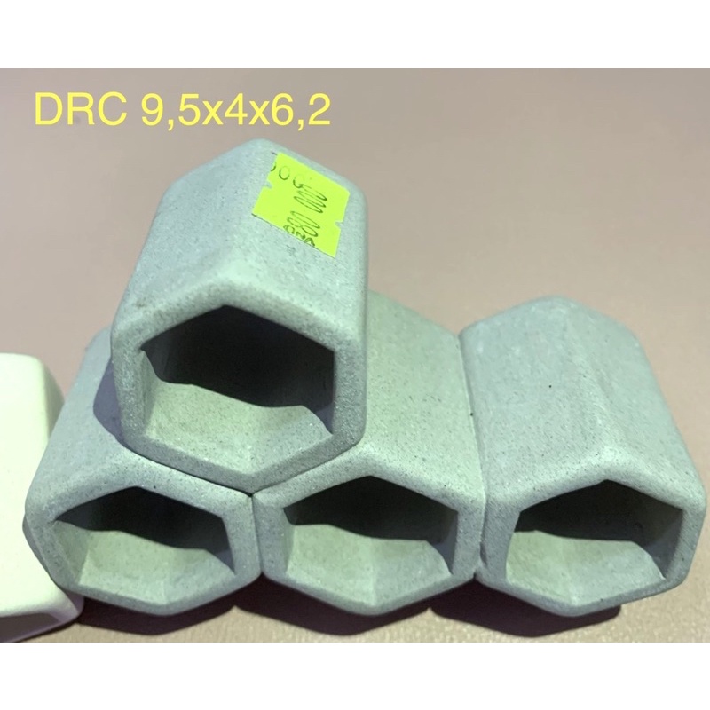 Hang Pleco “HANG 4 LỖ - 80k”