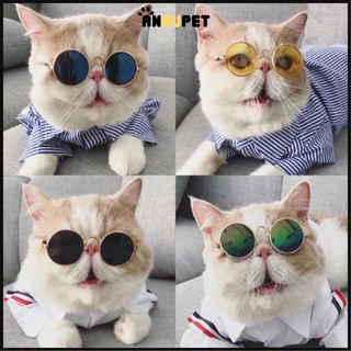 Kính mắt cho mèo cưng