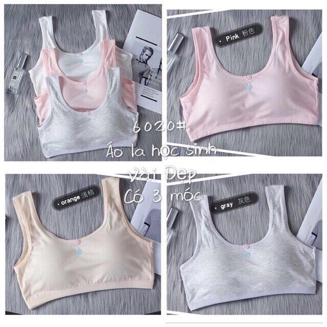 Bra áo lót ngực học sinh có móc cài sau dễ thương MÃ 6020