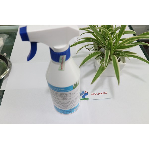 dung dich gội đầu khô