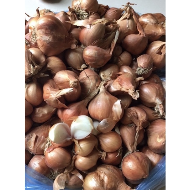 HÀNH KHÔ  LOẠI 1 ĐÃ CHON LỌC HẢI DƯƠNG