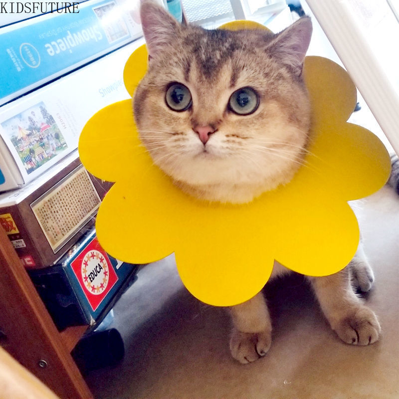 Vòng Đeo Cổ Dễ Thương Khử Trùng Cho Thú Cưng