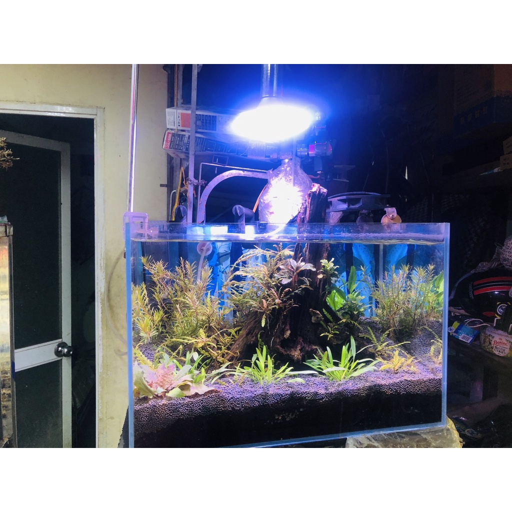 Đèn Led Kẹp XIMA 20W 40W RBG Cao cấp Cho Bể Thủy Sinh Và Bể Bán Cạn