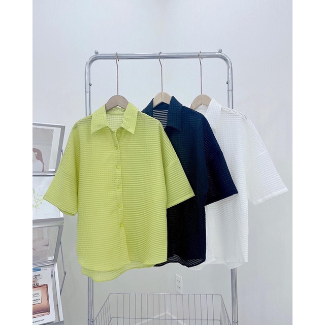 [ CHUBBY BIGSIZE ] SƠ MI Ô NỖI FORM RỘNG BIGSIZE