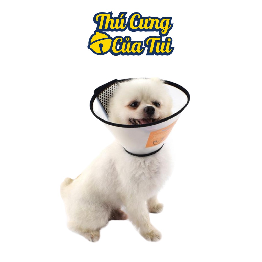 Vòng Cổ Loa Chống Liếm Dogstory Cho Thú Cưng Chó Mèo - Thú Cưng Của Tui