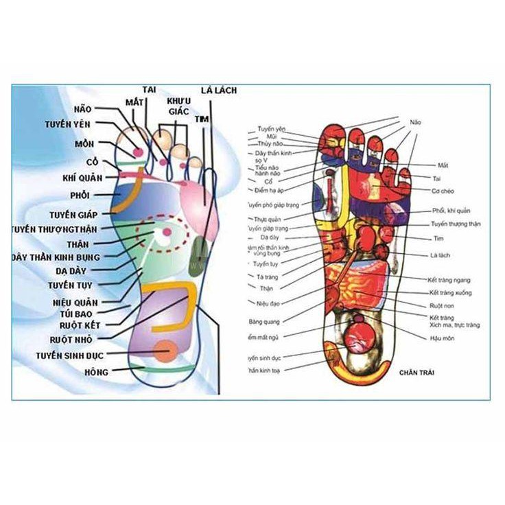 [Chính hảng] Đá muối massge chân mặt thẳng - Công ty Hoàng Kim Đan